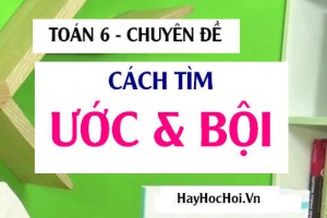 Cách tìm Ước chung lớn nhất (ƯCLN), Bội chung nhỏ nhất (BCNN) và Bài tập Toán 6